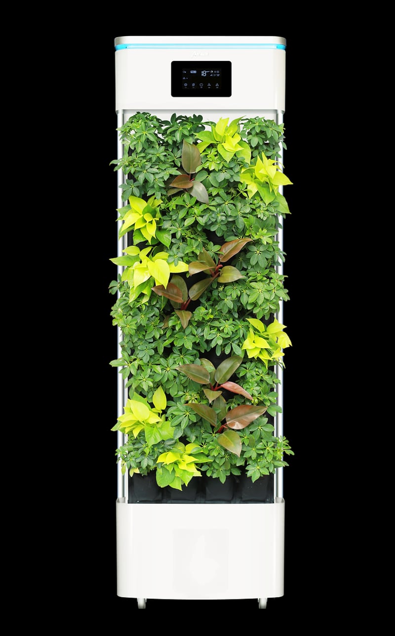 Air-Purifying Choices
