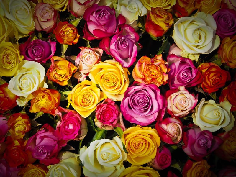 Colorful Arrangements